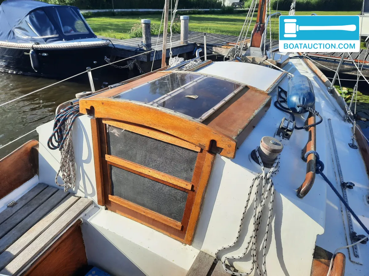 foto: 5 Van de Stadt Primaat