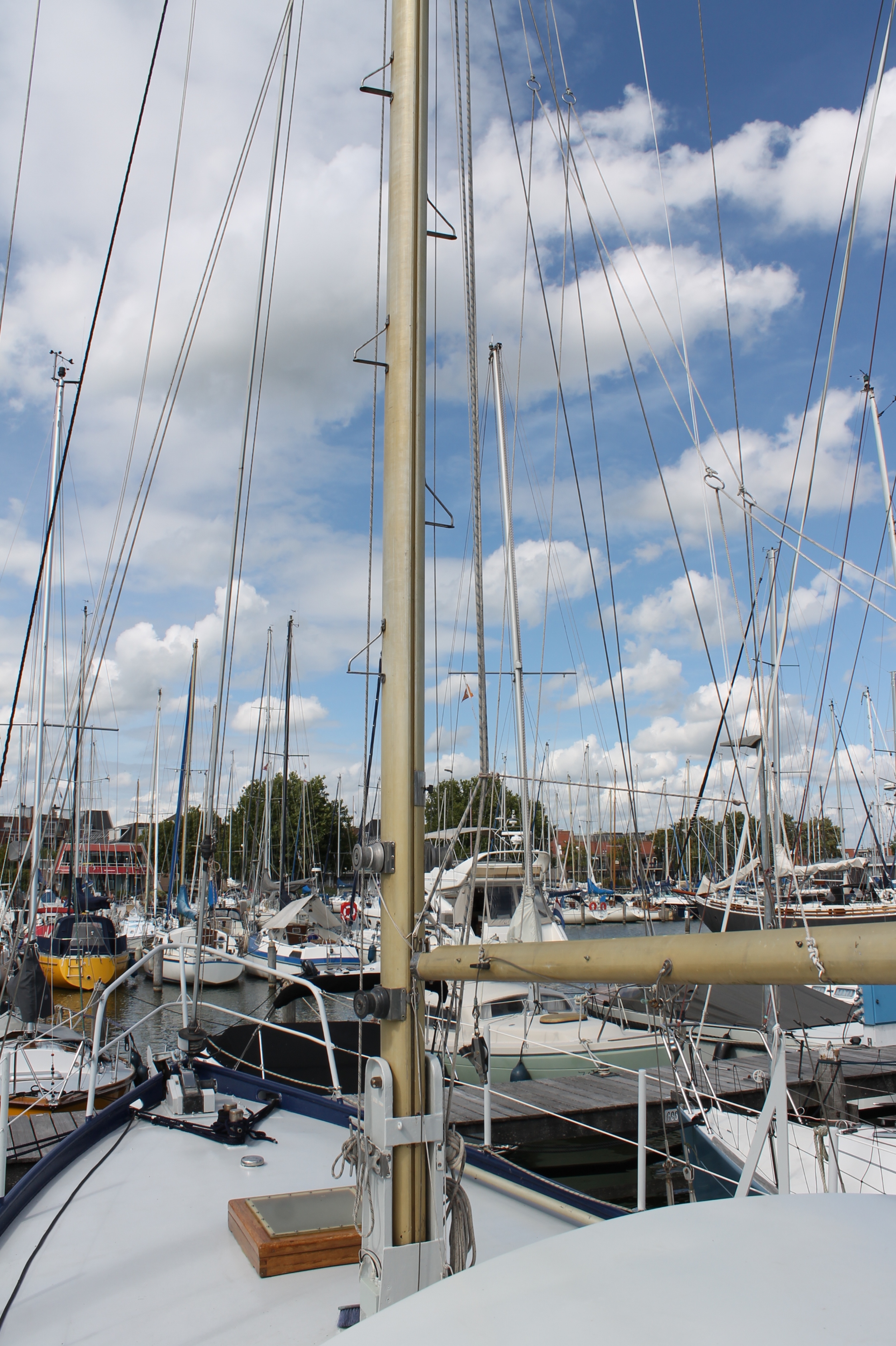foto: 44 Pieter Beeldsnijder Gouwzee 3A