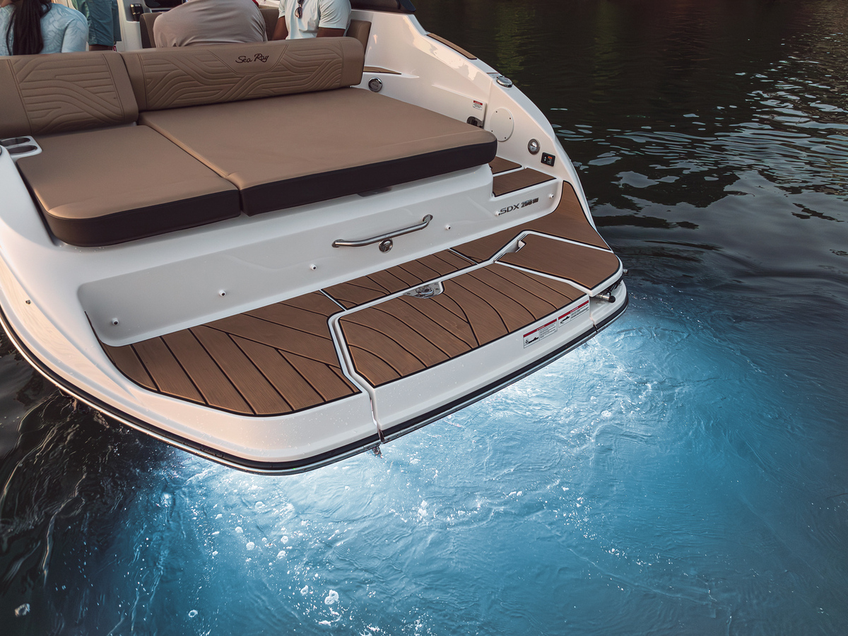 foto: 10 Sea Ray SDX 250 Surf