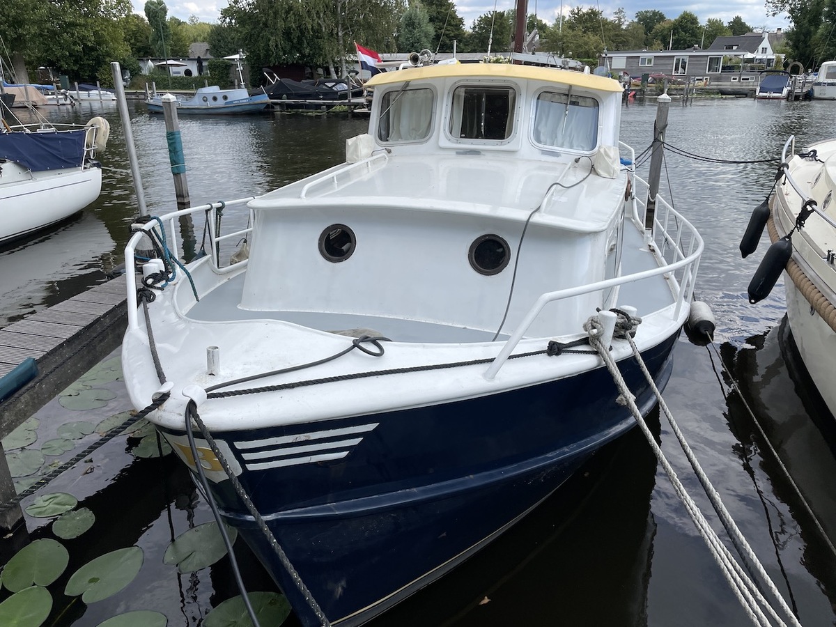 foto: 11 Beenhakker kotter 900