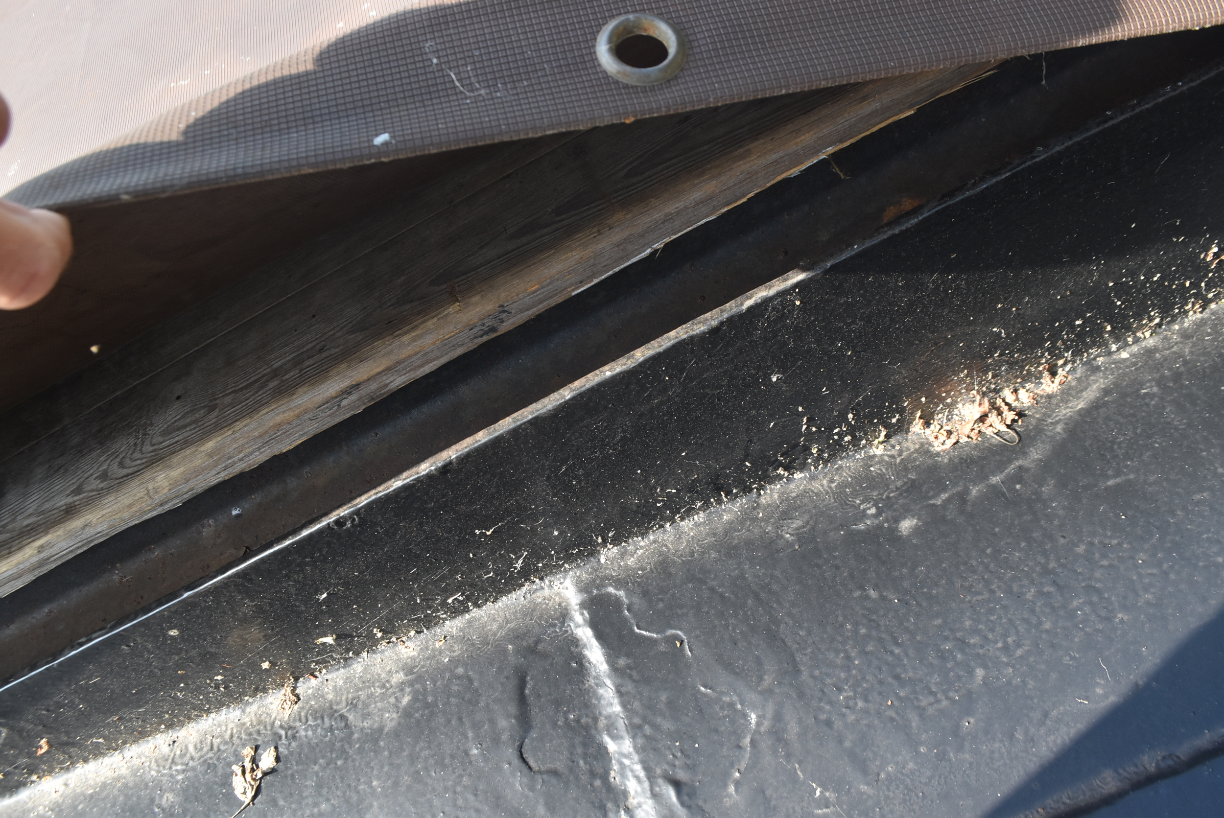 foto: 45 Hagenaar 25.15