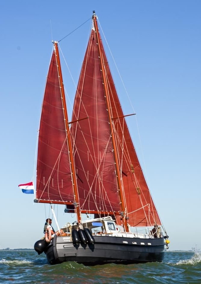 foto: 5 Danish Rose 31