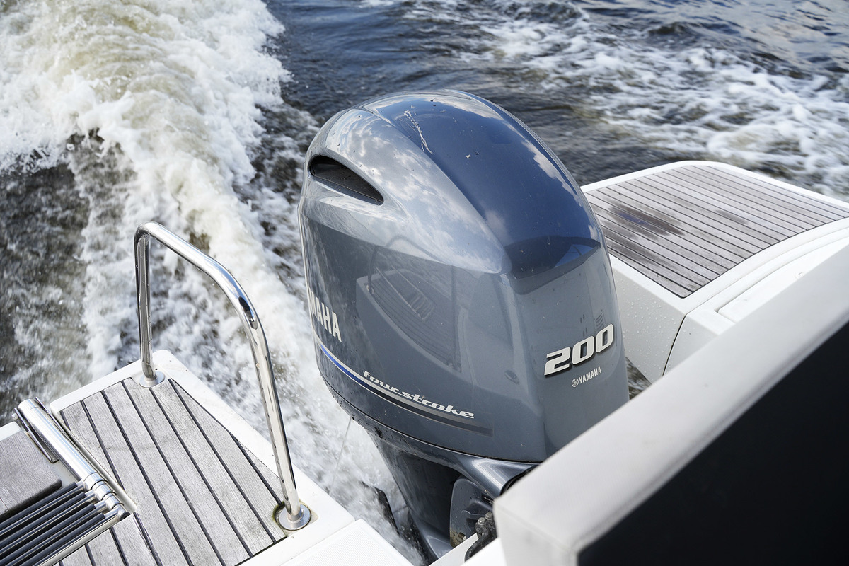 foto: 17 Merry Fisher   795 (Nordic)