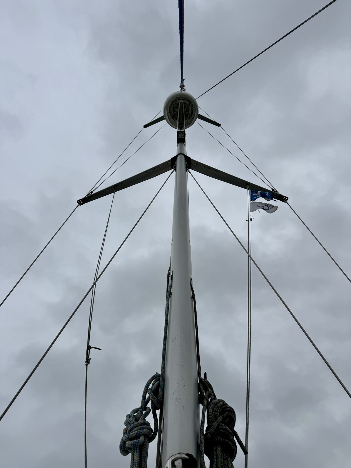 foto: 26 Bavaria  39 