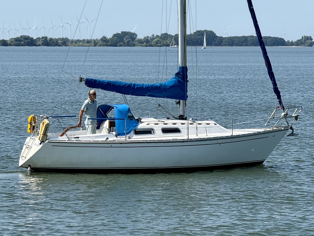 Contessa  28
