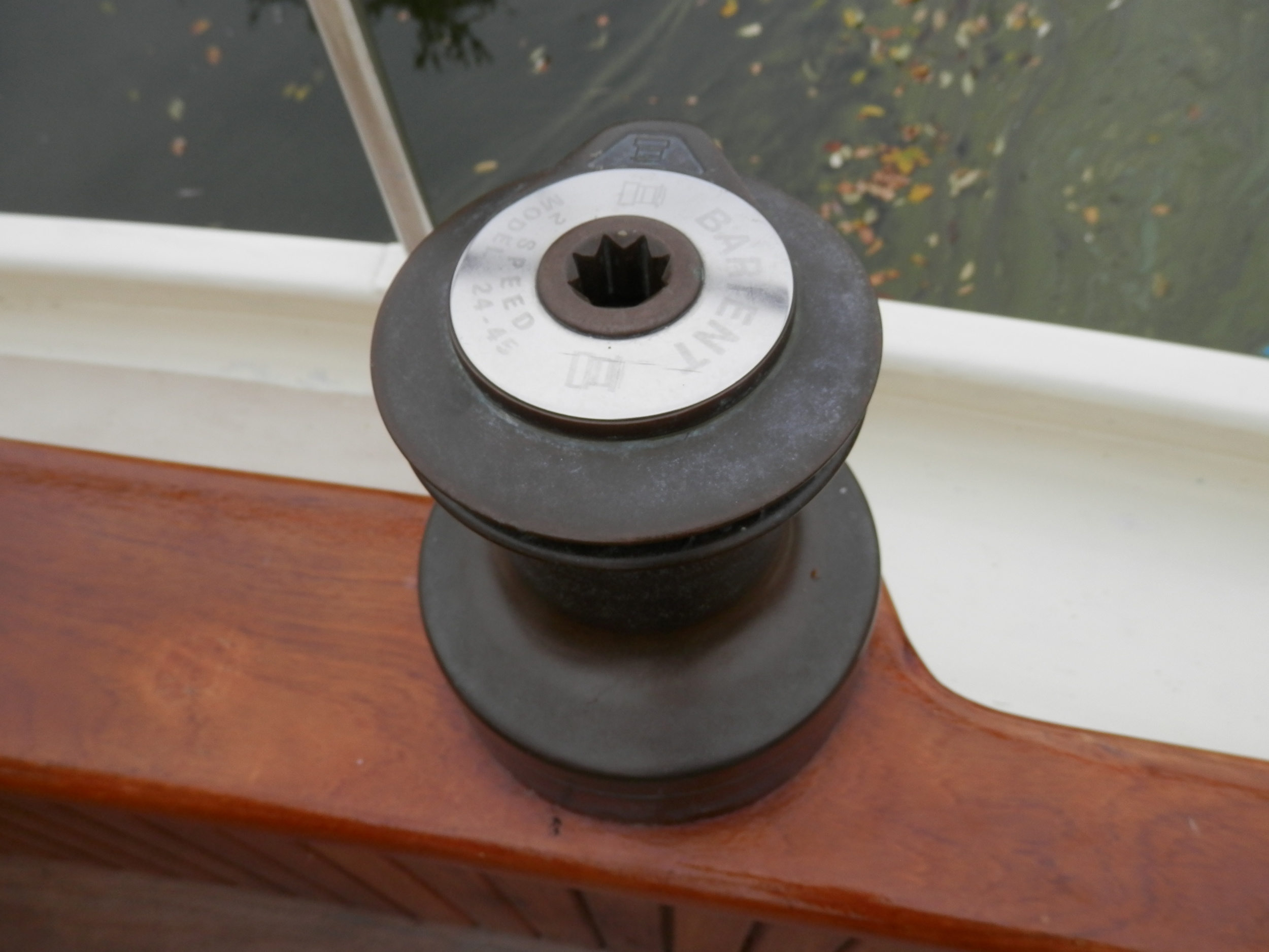 foto: 18 Danish Rose 31