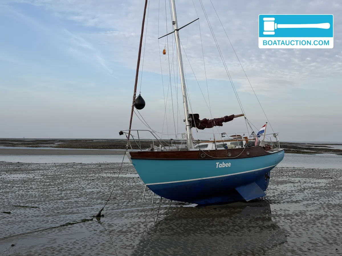 foto: 32 Rossiter Pintail 27