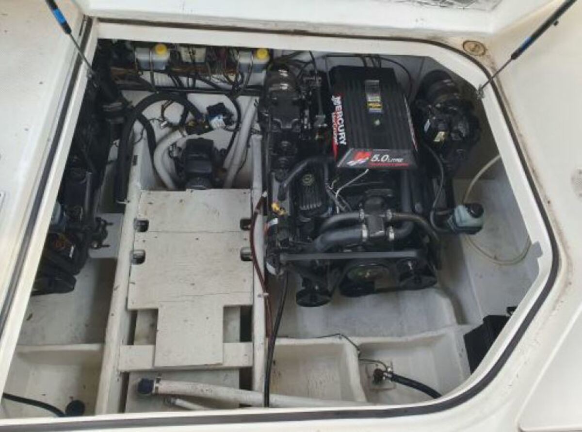 foto: 16 Bayliner 305 CIERA