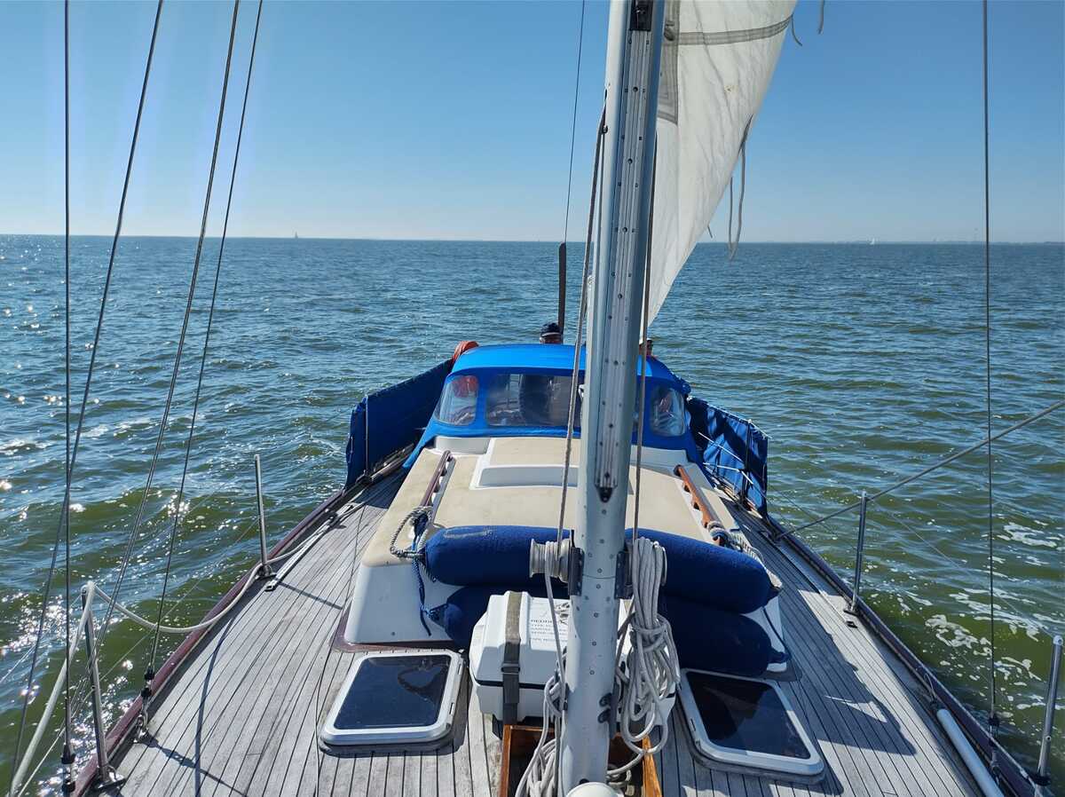 foto: 25 Tradewind 33