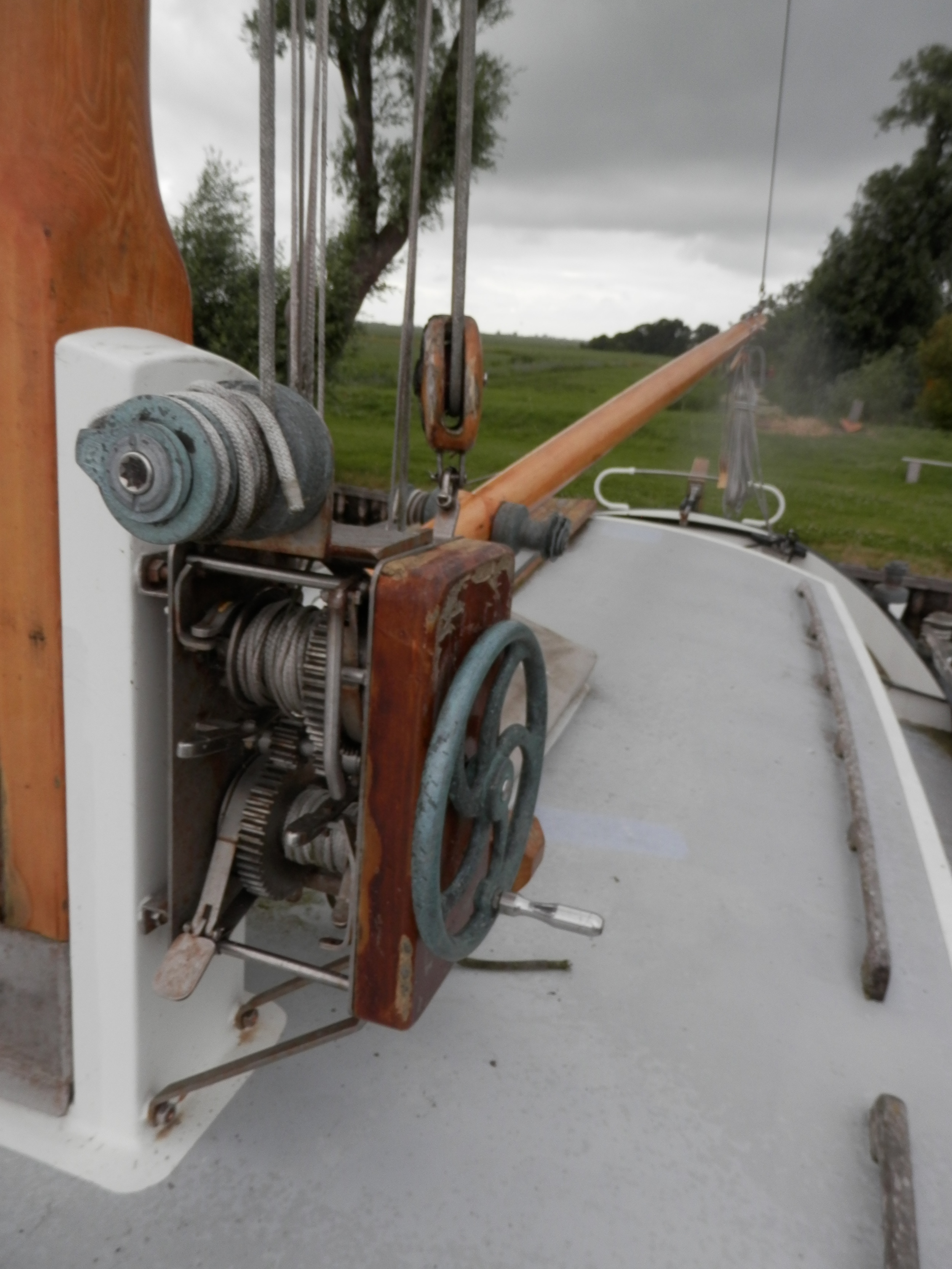 foto: 9 Blom Lemsteraak 12.10 Roefaak