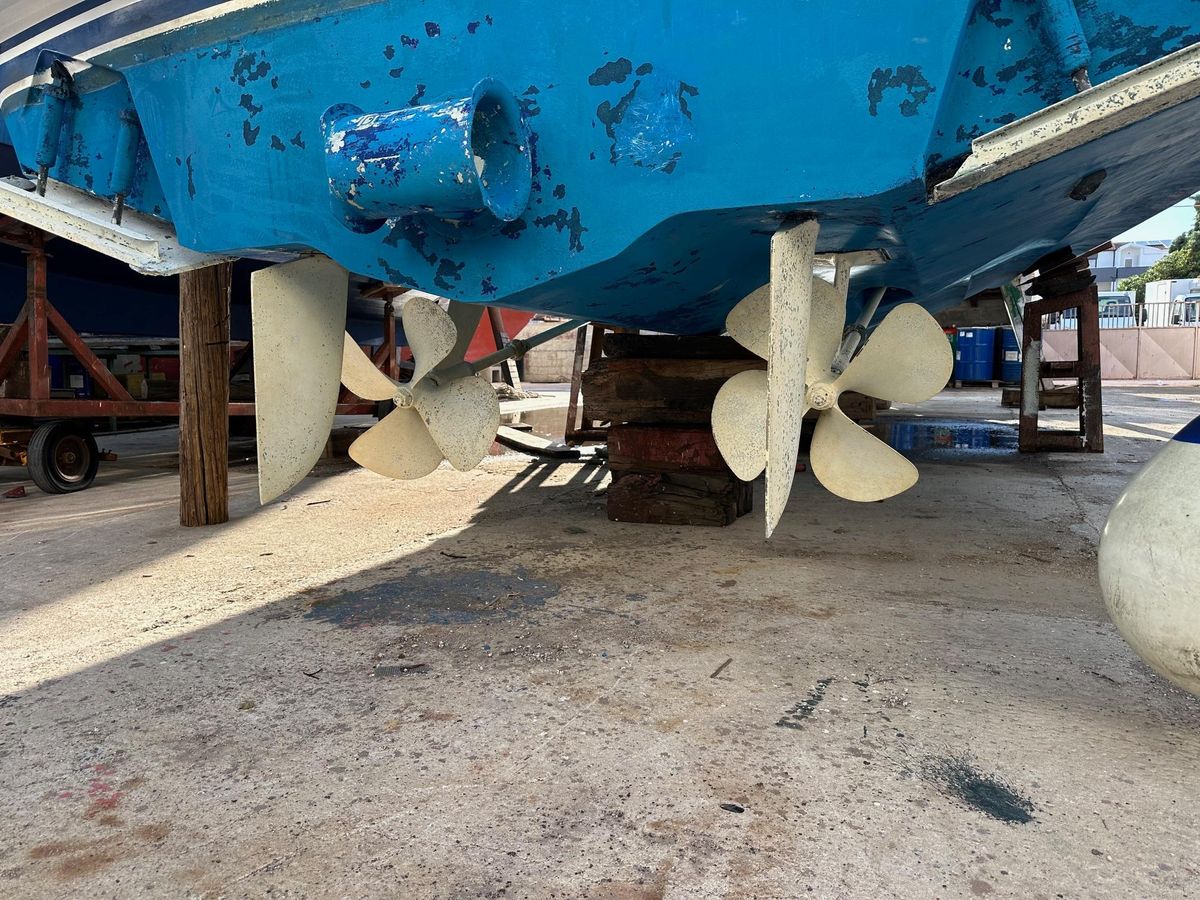 foto: 10 Princess 50