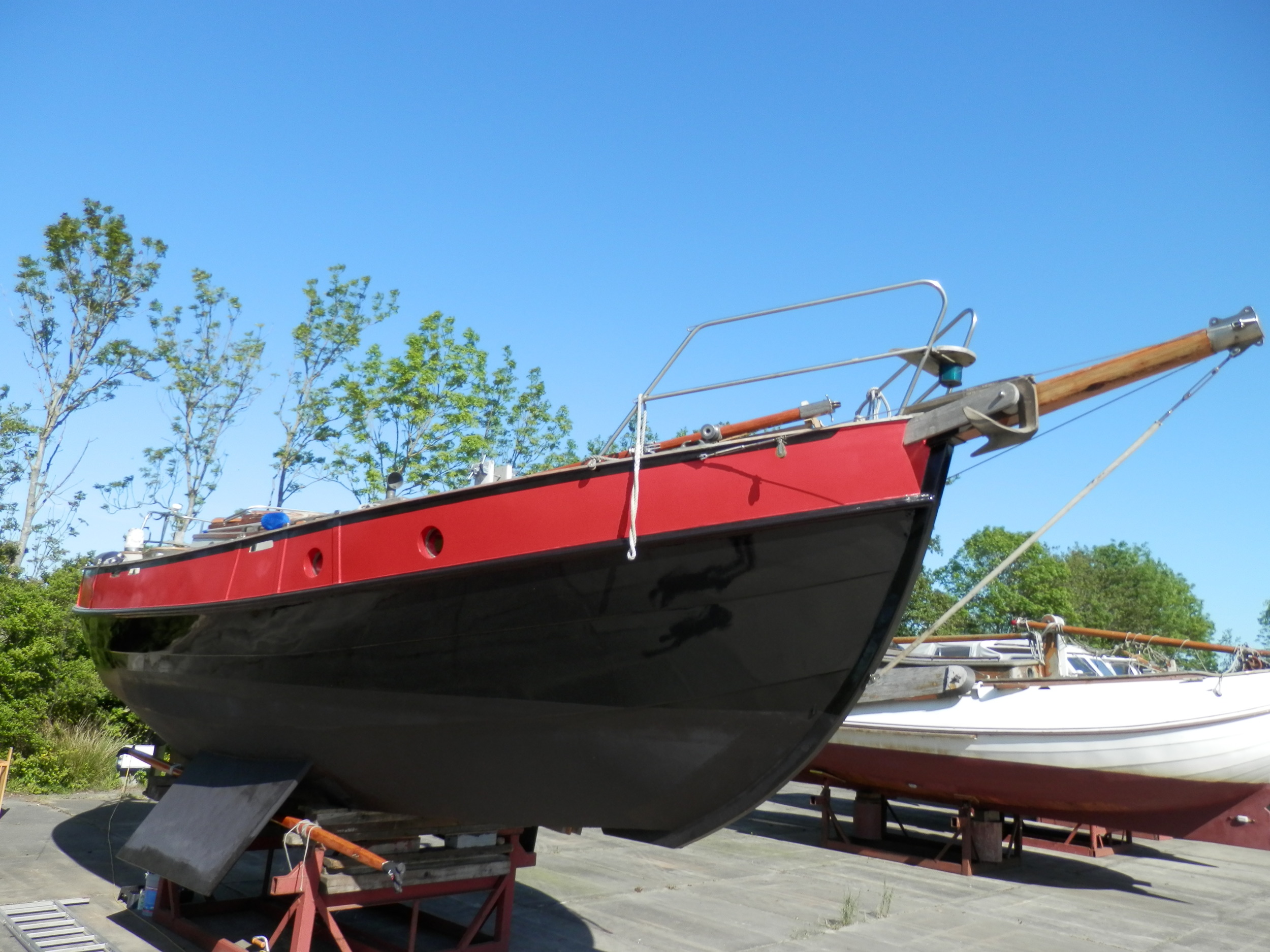 foto: 9 Danish Rose 31