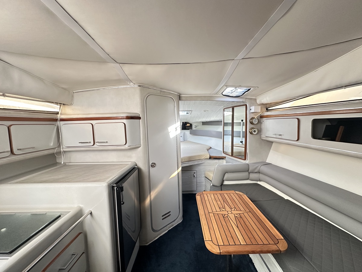foto: 18 Sea Ray 310 Sundancer 