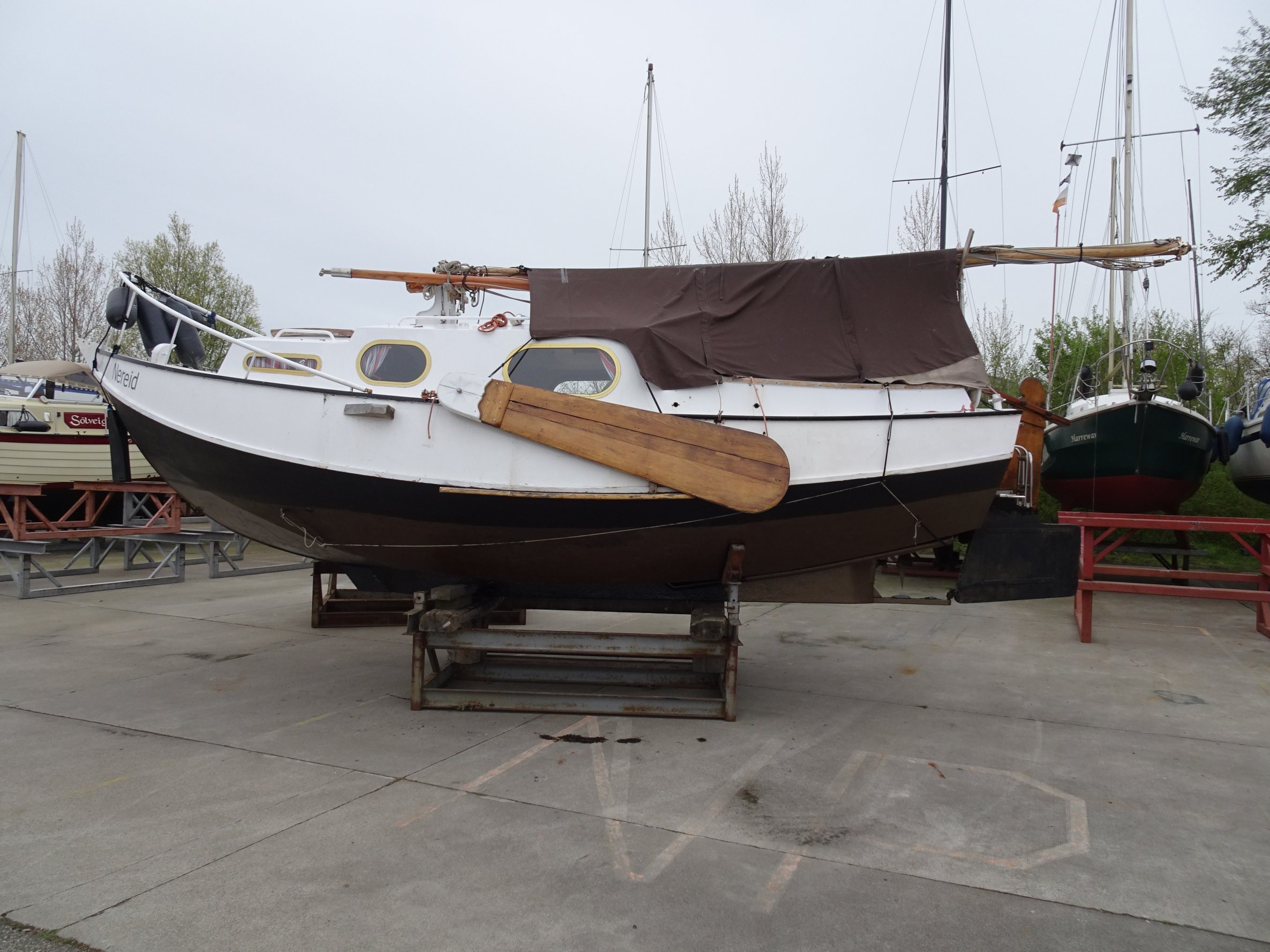 foto: 20 Baarda  Zeegrundel