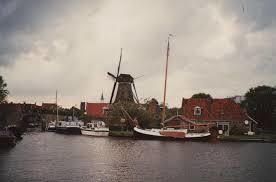 foto: 12 Blom Lemsteraak 12.10 Roefaak