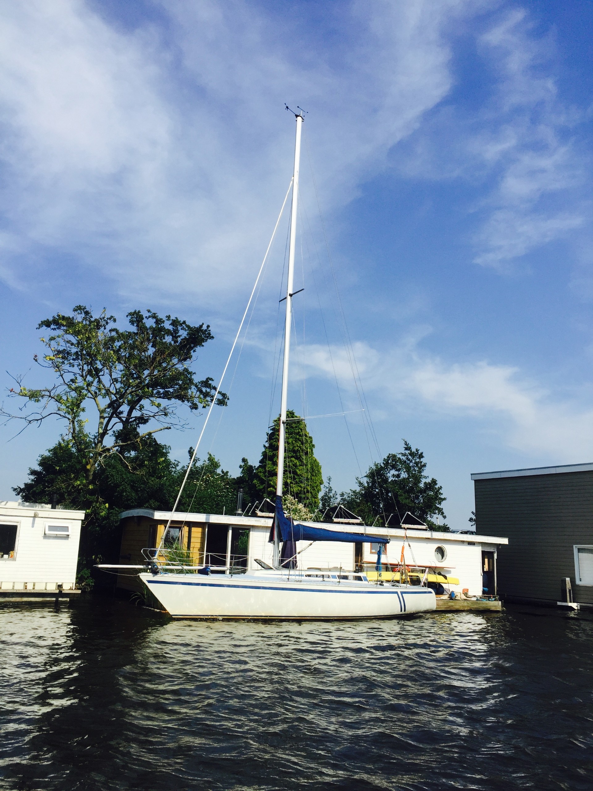 foto: 10 Fly 34 Mosquito 104