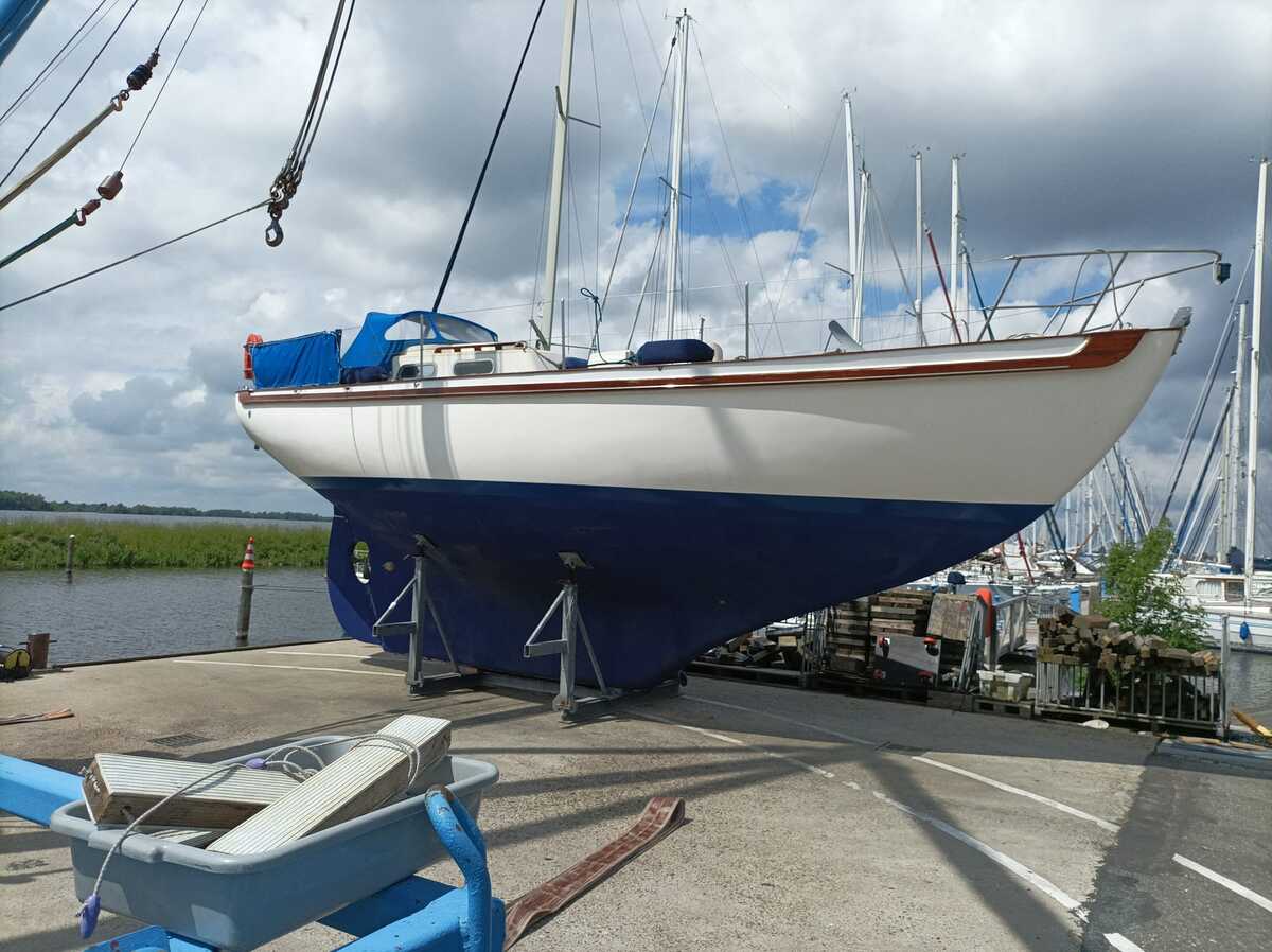 foto: 37 Tradewind 33