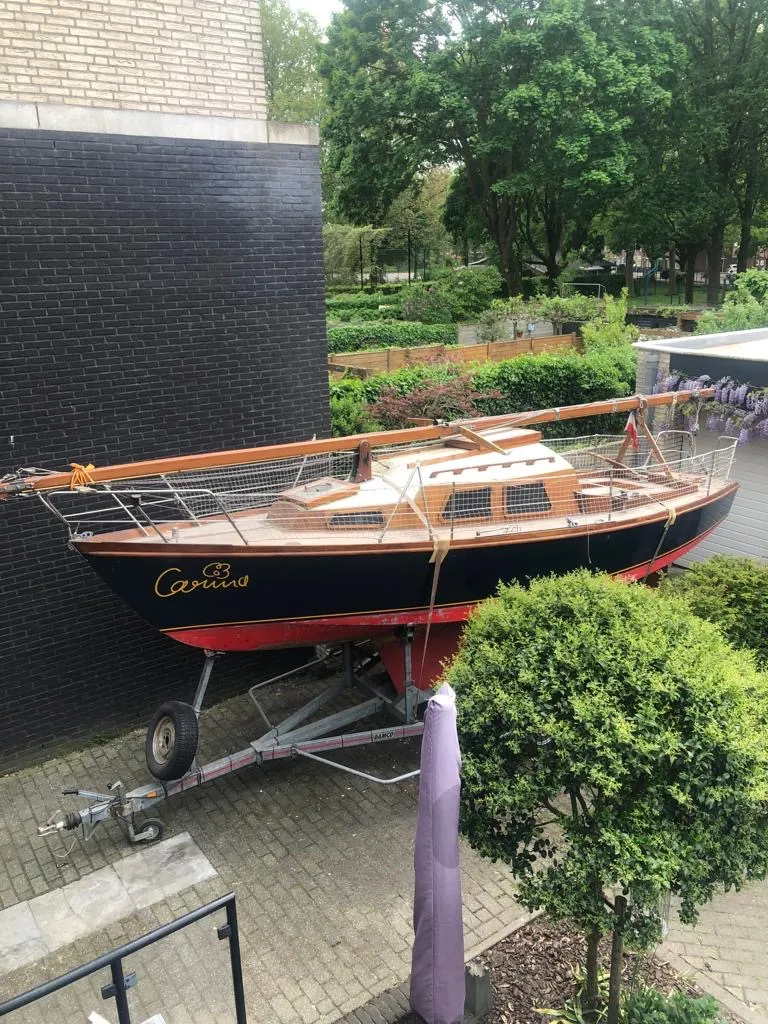 van de Stadt Primaat