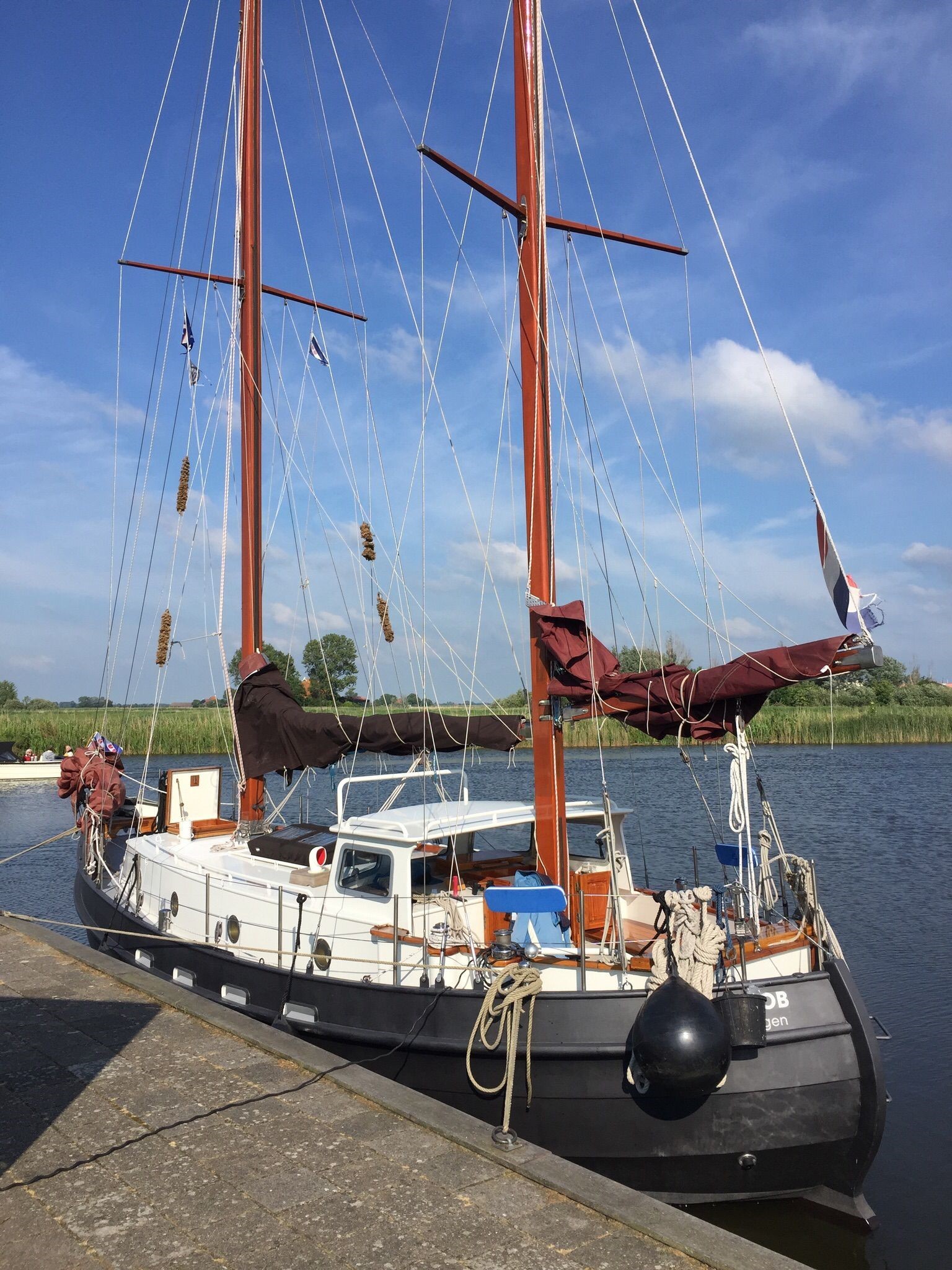 foto: 5 Danish Rose 31