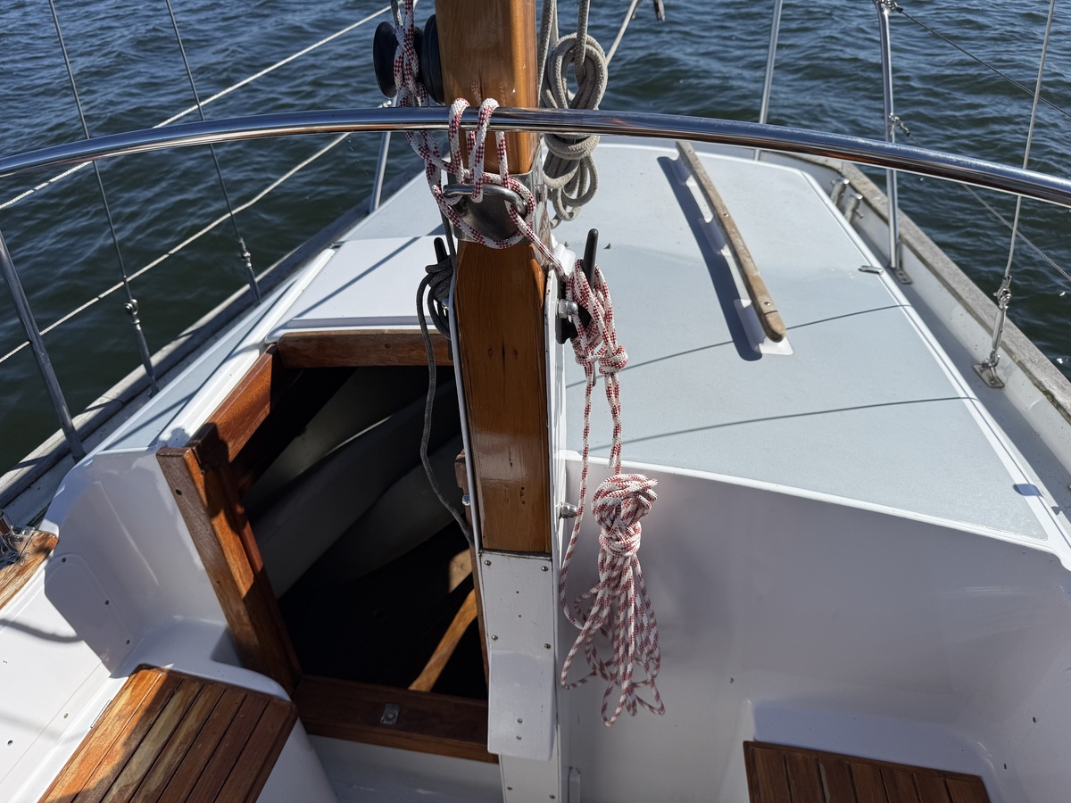 foto: 23 Seadog 30