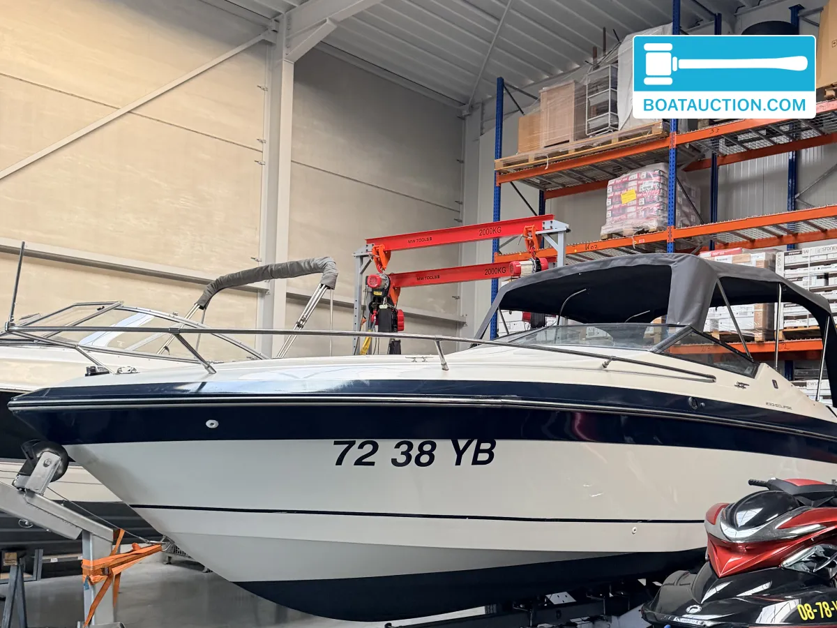 foto: 18 Wellcraft 233 Eclipse