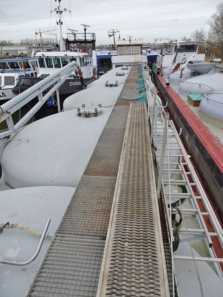 foto: 25 Kempenaar 59.96