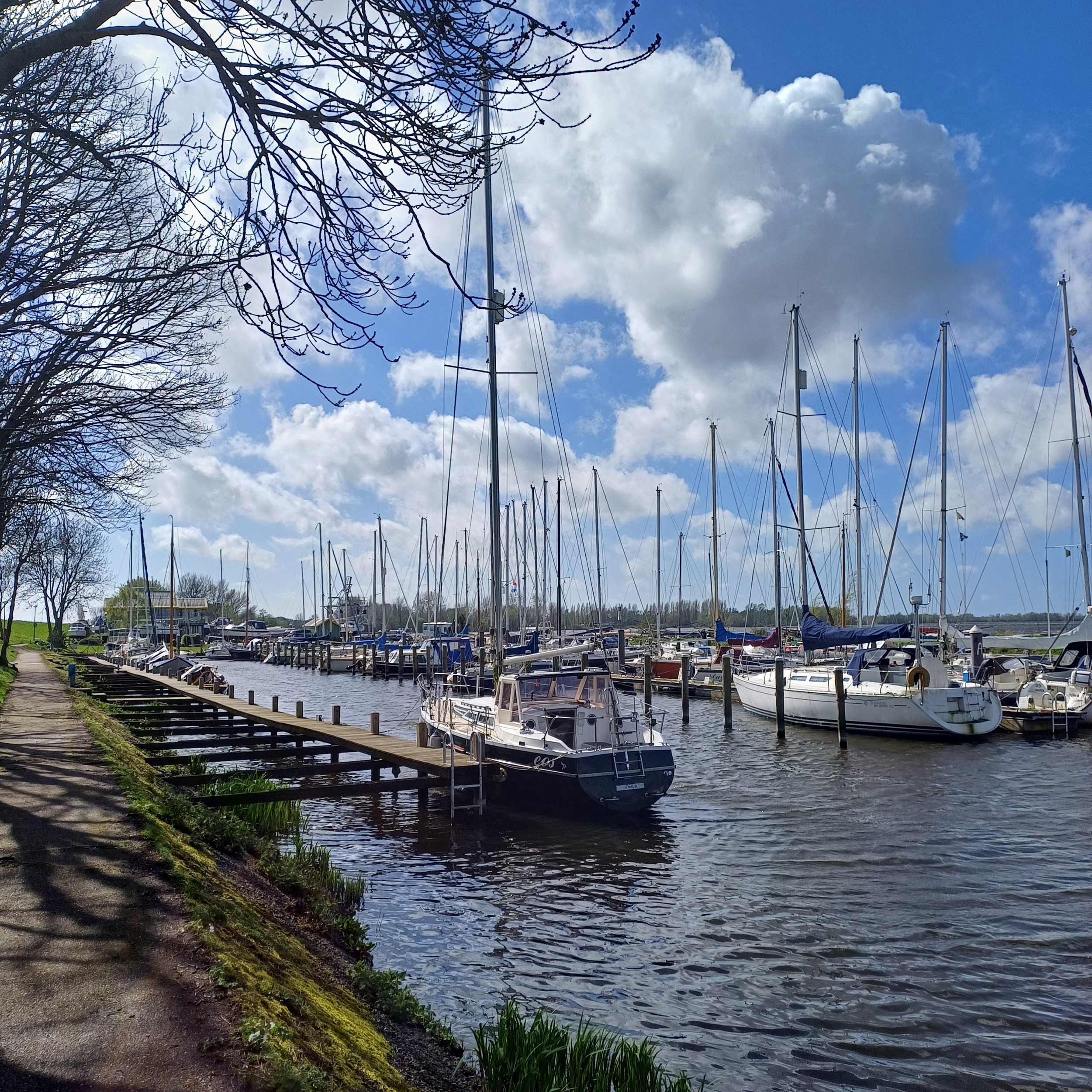 foto: 10 Piewiet 930