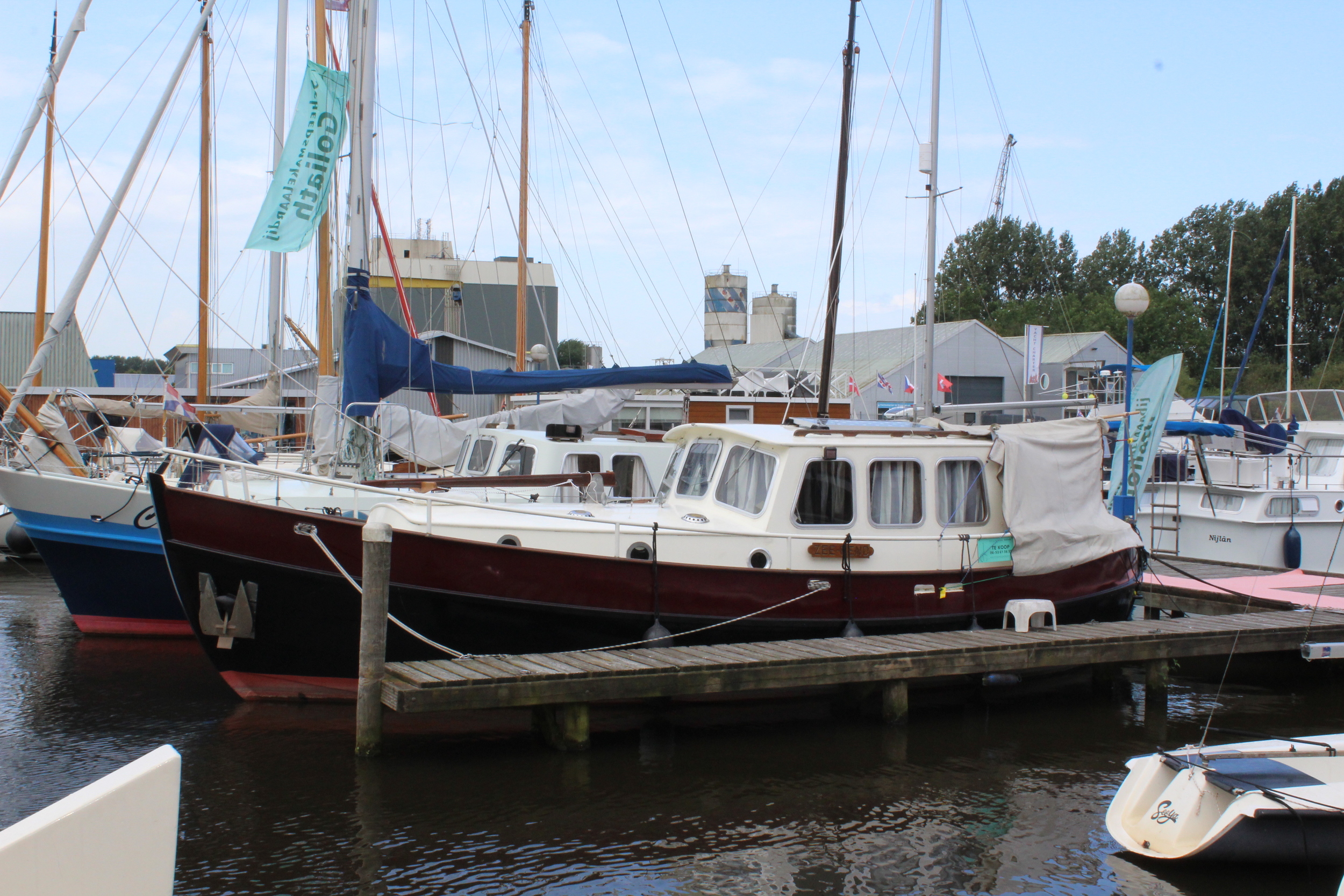 foto: 17 Danish Rose MS 31