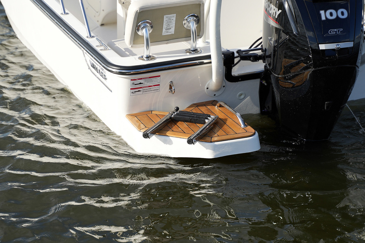 foto: 25 Boston Whaler 170 Montauk