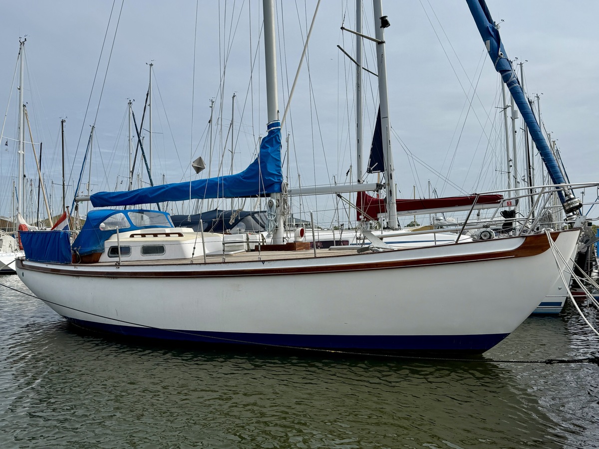 foto: 46 Tradewind 33