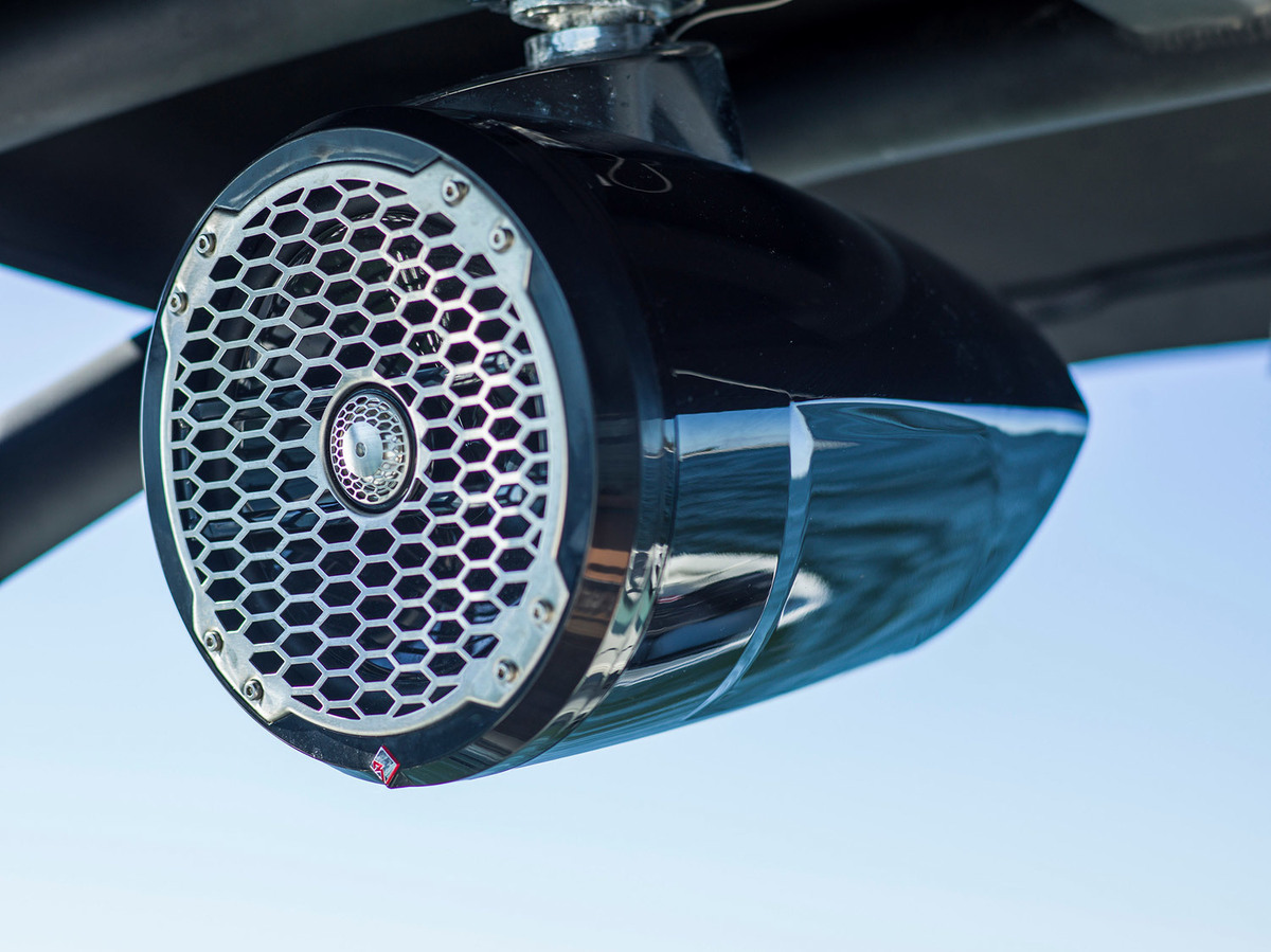 foto: 10 Sea Ray SDX 250 Outboard