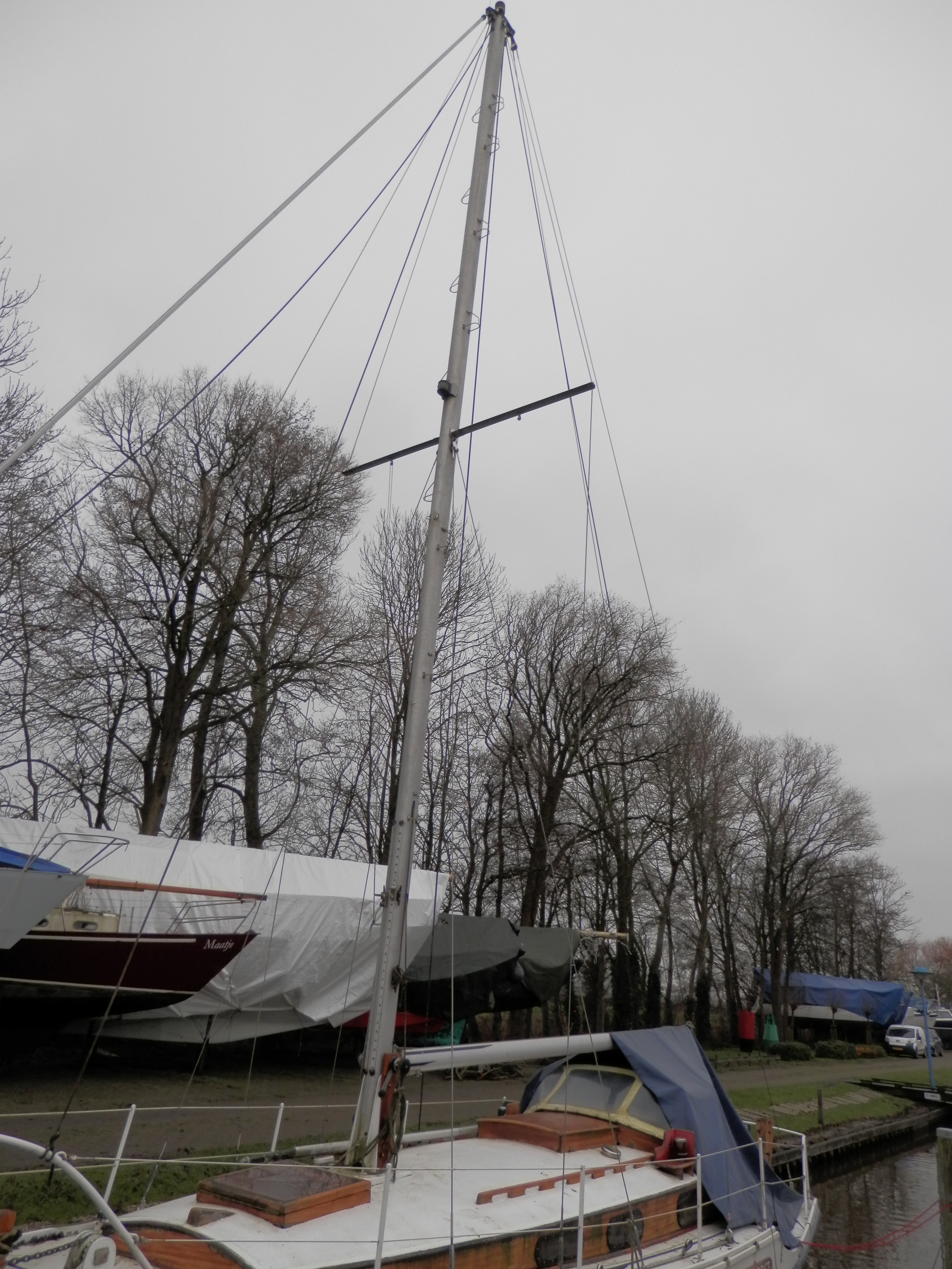 foto: 7 Golden Hind 31