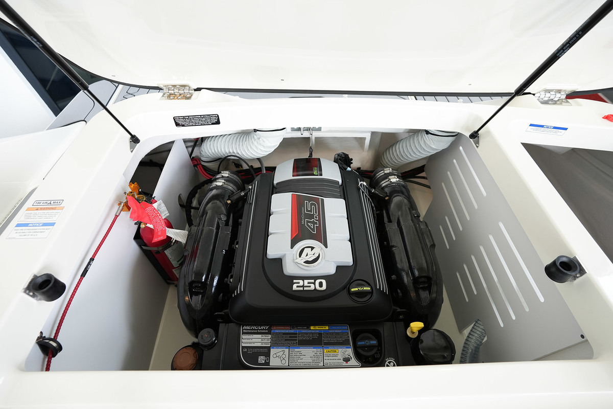 foto: 25 Sea Ray SPX 210 