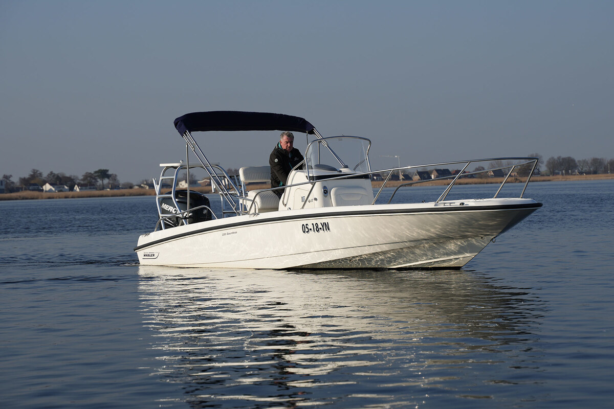 foto: 14 Boston Whaler 230 Dauntless