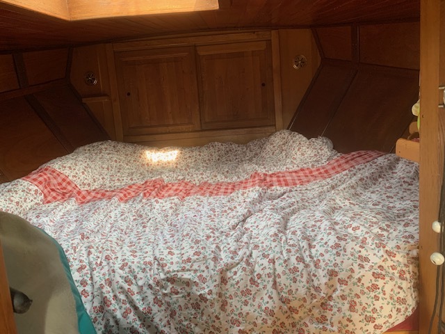 foto: 11 Bekebrede Liamer Zeeschouw 