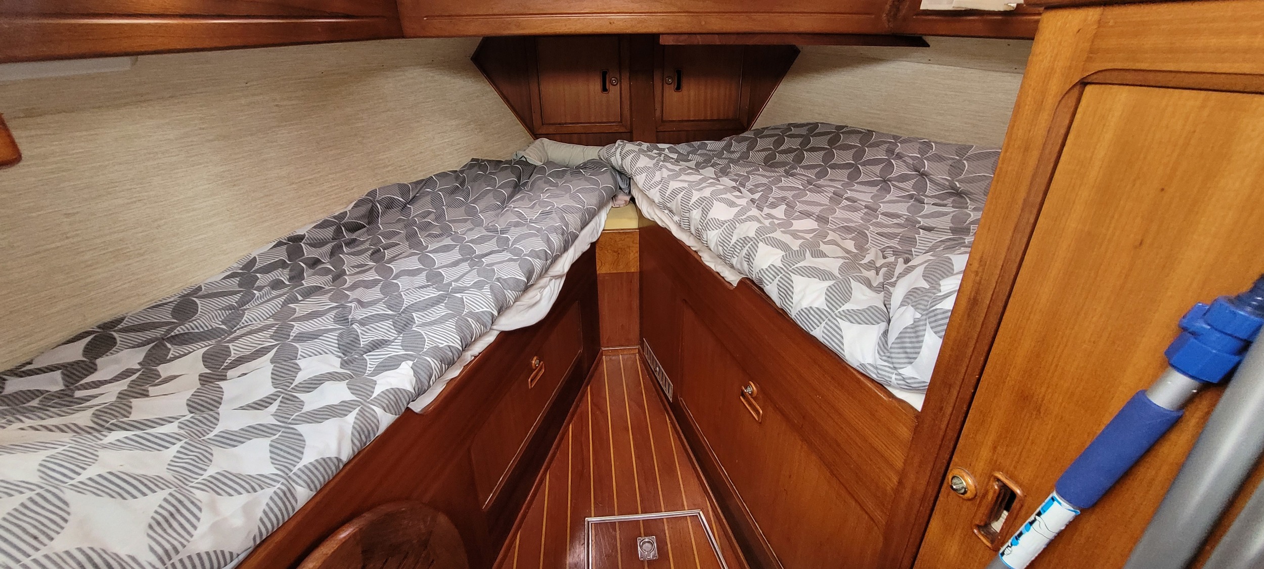 foto: 21 Vennekes Korall 50/50