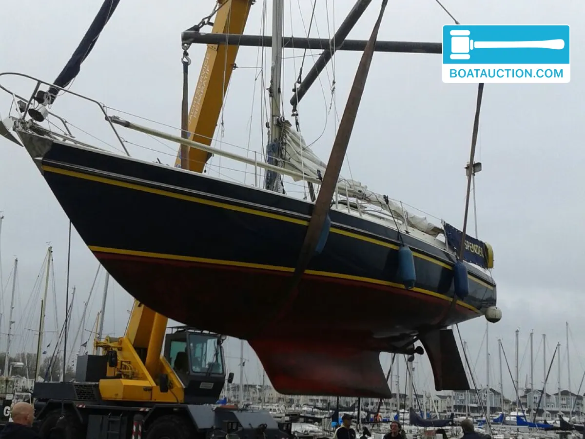 foto: 7 Contest 31 ft