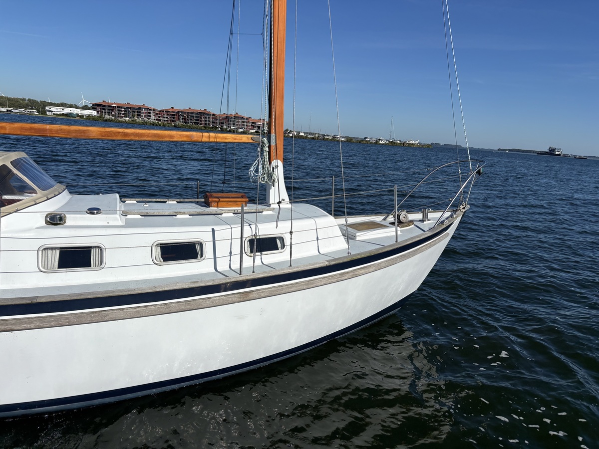 foto: 34 Seadog 30