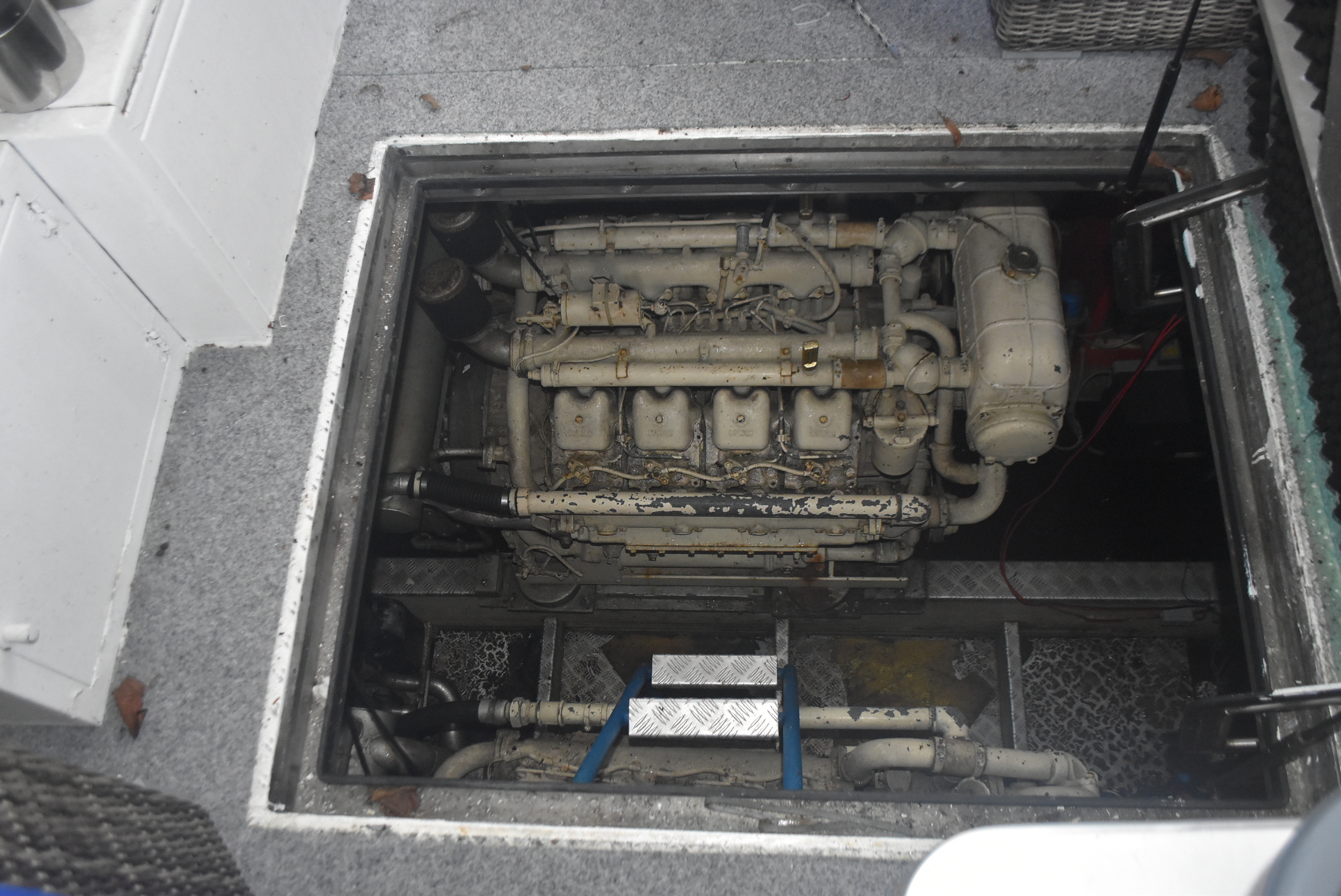 foto: 12 Tummler 15.00