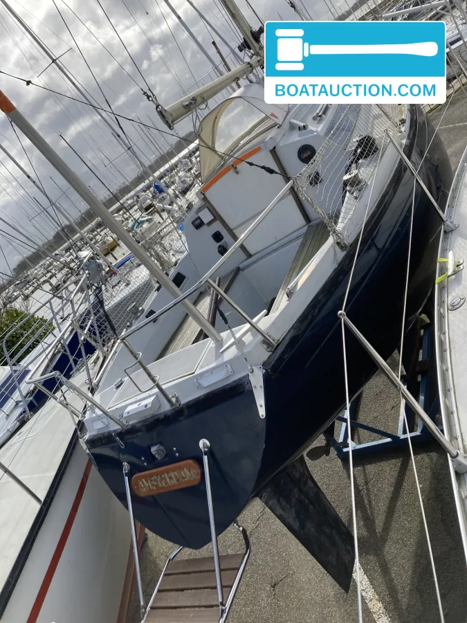 foto: 13 Dufour Safari 27