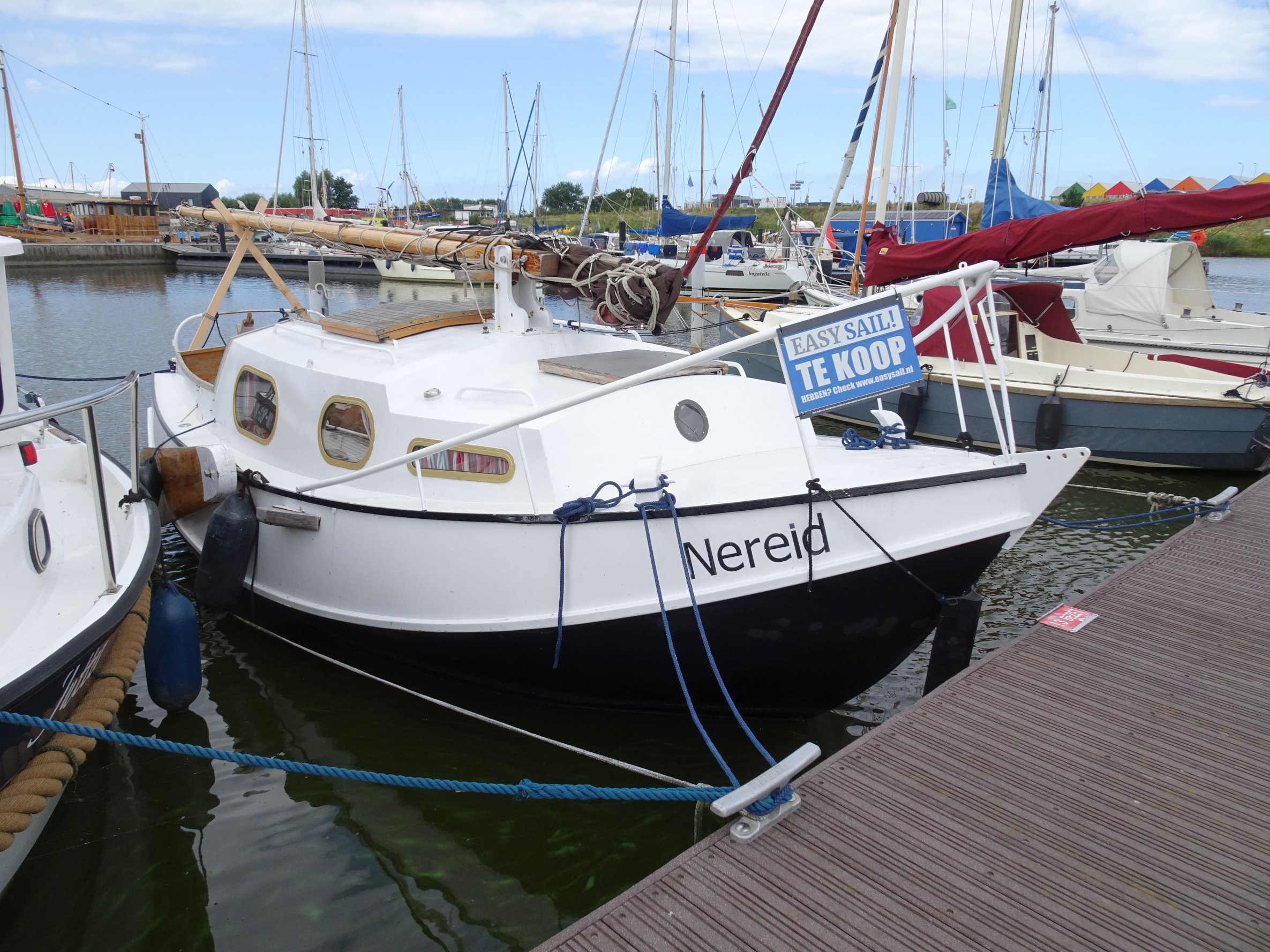 foto: 2 Baarda  Zeegrundel