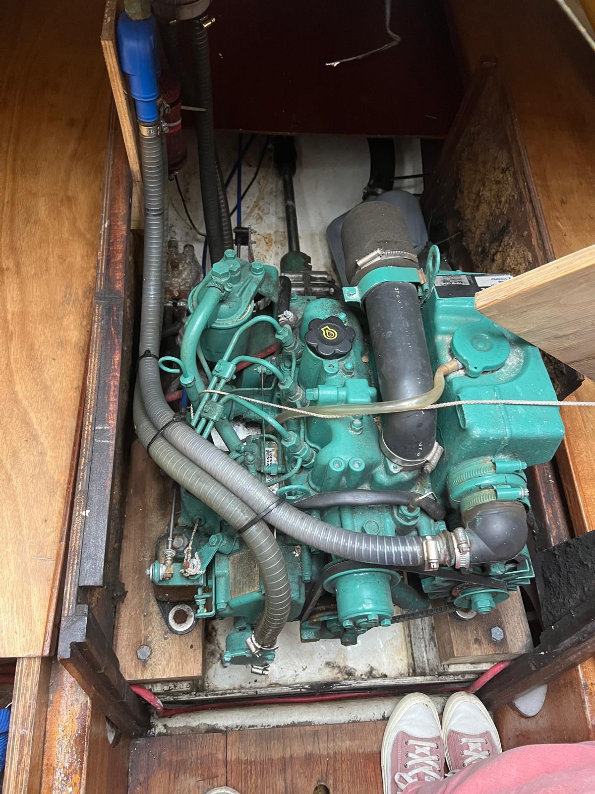 foto: 12 Fly 34 Mosquito 104