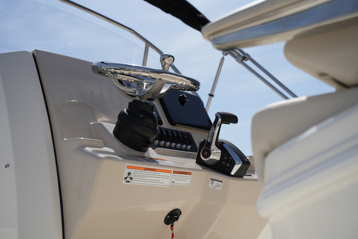 foto: 23 Boston Whaler 250 Dauntless