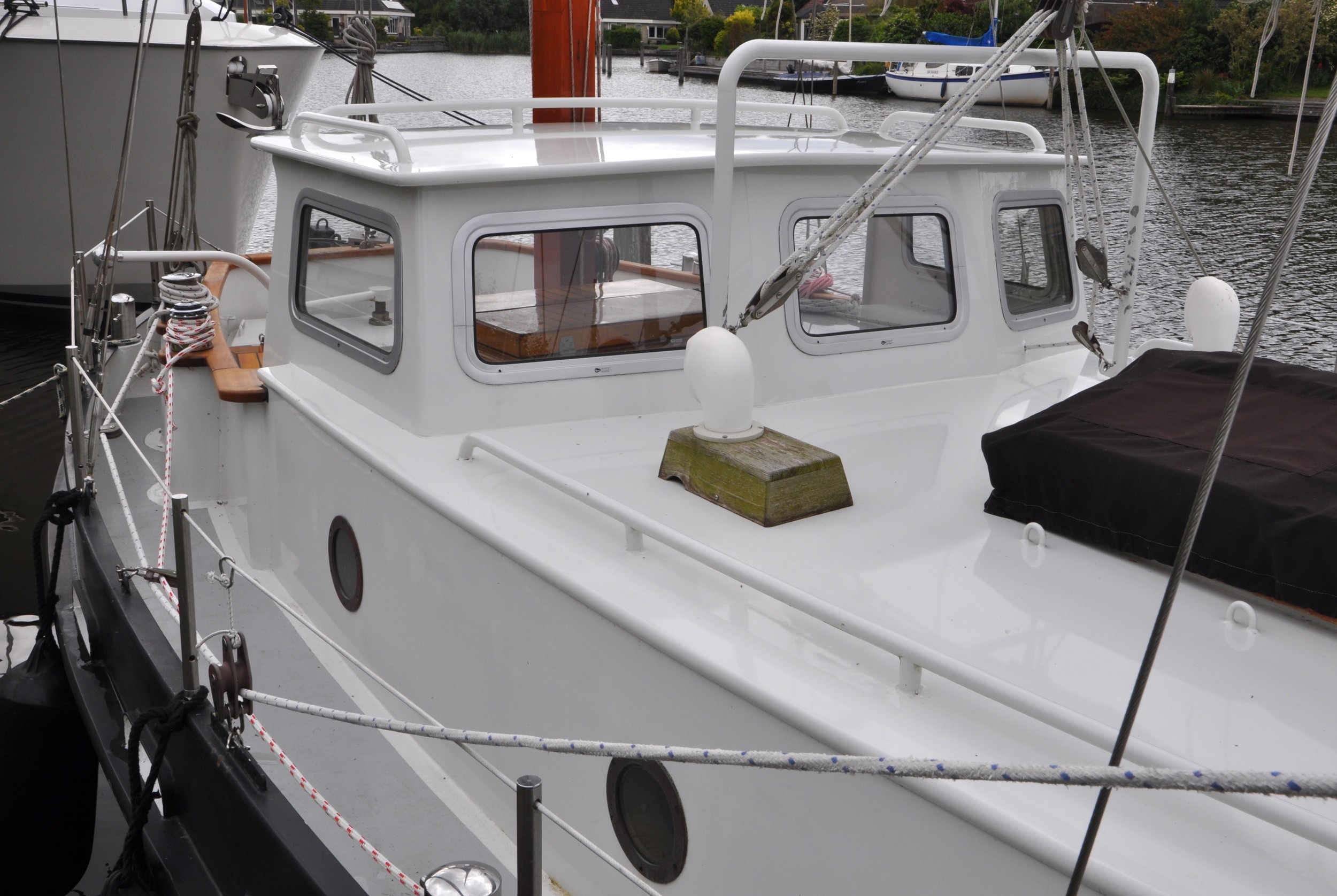 foto: 6 Danish Rose 31