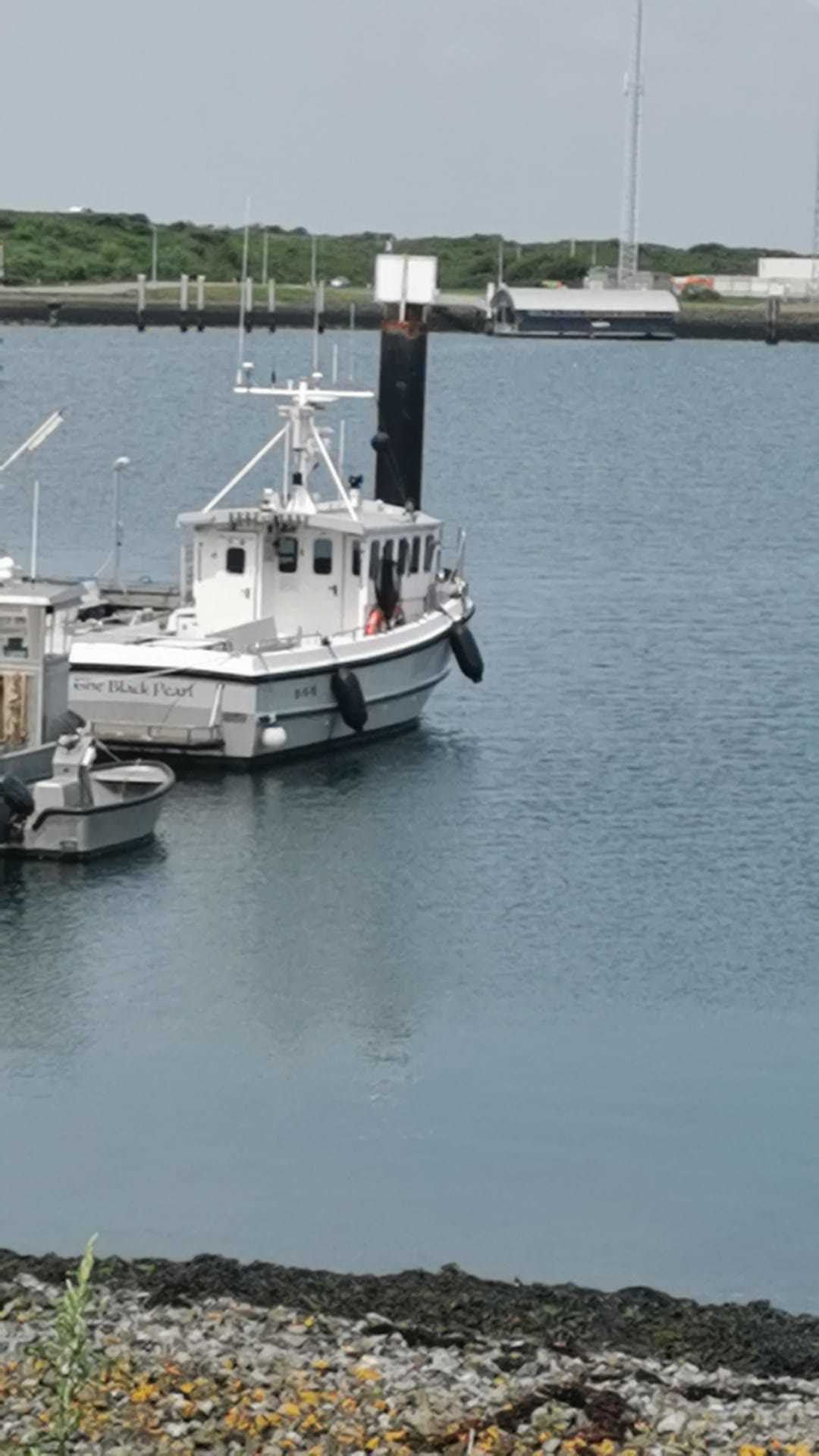 foto: 7 Vissersboot Sygnus Catfish