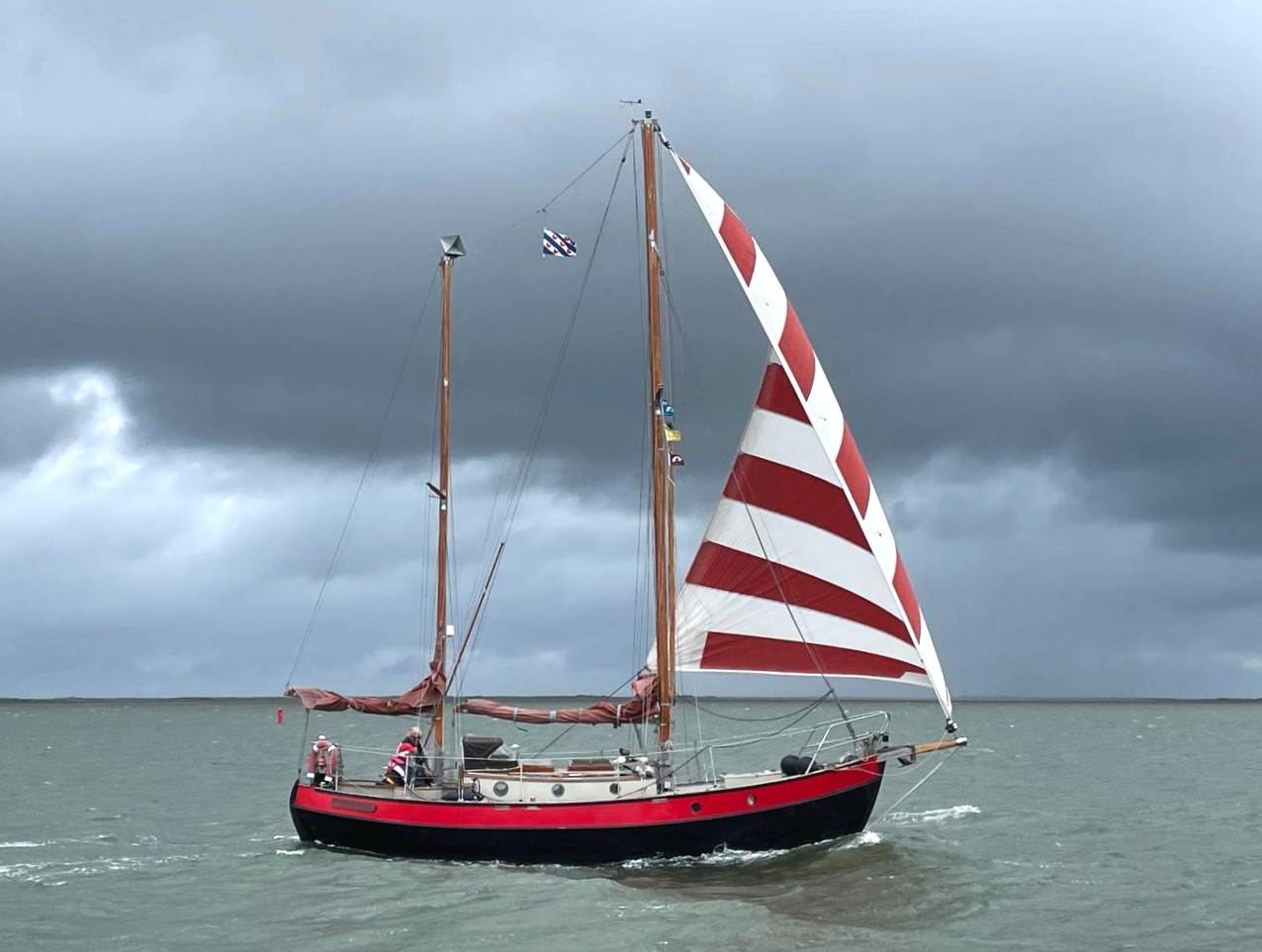 hoofdfoto: 1 Danish Rose 31