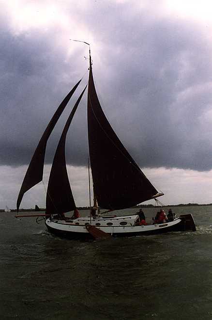 foto: 14 Blom Lemsteraak 12.10 Roefaak