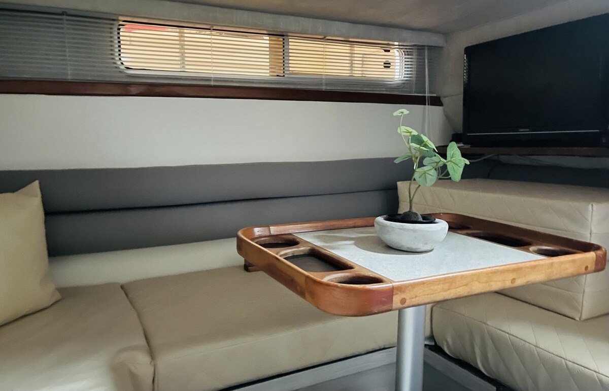 foto: 23 Sea Ray 310 Sundancer 