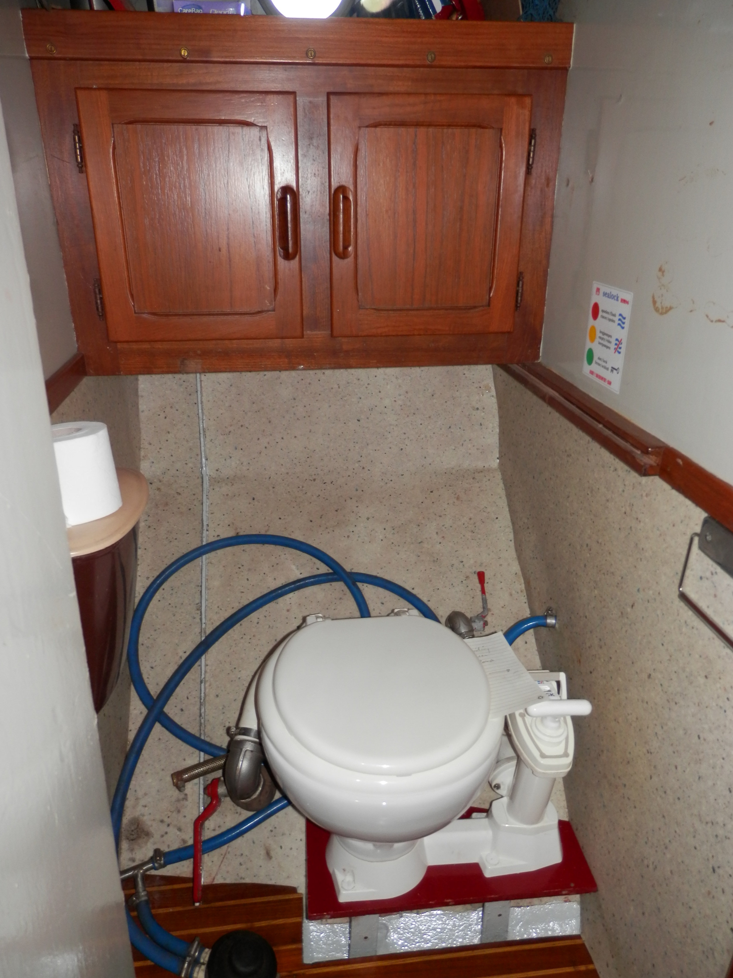 foto: 10 Danish Rose 31