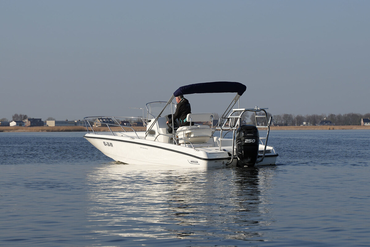 foto: 15 Boston Whaler 230 Dauntless